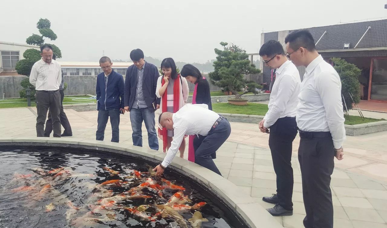 1548483176561349.jpg 41.jpg